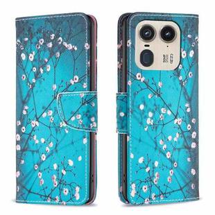 For Motorola Edge 50 Ultra Colored Drawing Pattern Leather Phone Case(Plum Blossom)