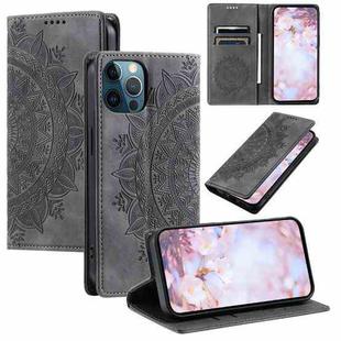 For iPhone 12 / 12 Pro Totem Embossed Magnetic Leather Phone Case(Grey)