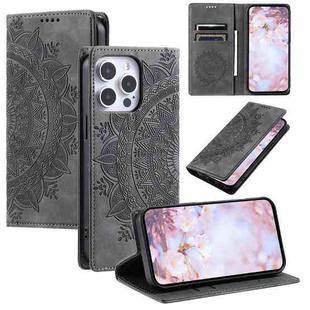 For iPhone 16 Pro Max Totem Embossed Magnetic Leather Phone Case(Grey)