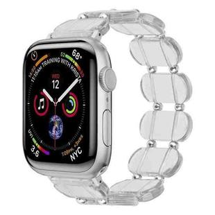 For Apple Watch SE 2023 44mm Stretch Resin Watch Band(Transparent)