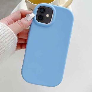 For iPhone 12 Frosted Soap Shape TPU Phone Case(Blue)