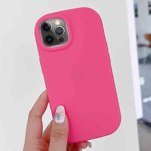 For iPhone 12 Pro Max Frosted Soap Shape TPU Phone Case(Rose Red)