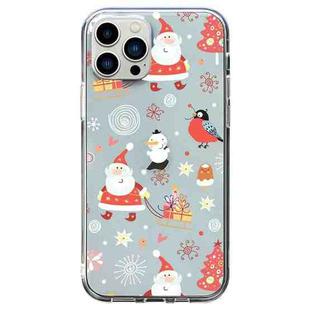 For iPhone 12 Pro Max Christmas Colored Drawing Pattern High Transparent Soft TPU Phone Case(Santa Claus)