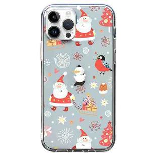 For iPhone 14 Pro Max Christmas Colored Drawing Pattern High Transparent Soft TPU Phone Case(Santa Claus)