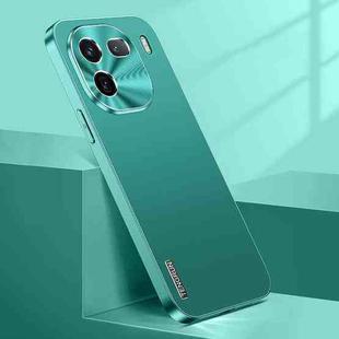 For vivo iQOO 12 Streamer Series Micro Frosted Metal Paint PC Phone Case(Alpine Green)