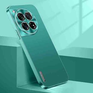 For OnePlus 12 Streamer Series Micro Frosted Metal Paint PC Phone Case(Alpine Green)