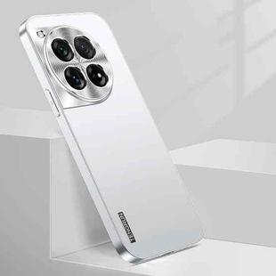 For OnePlus 12 Streamer Series Micro Frosted Metal Paint PC Phone Case(Silver)