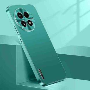 For OnePlus 13 Streamer Series Micro Frosted Metal Paint PC Phone Case(Alpine Green)