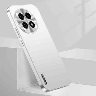 For OnePlus 13 Streamer Series Micro Frosted Metal Paint PC Phone Case(Silver)