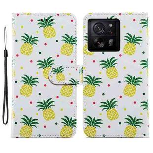 For Xiaomi 13T 5G Painted Pattern Horizontal Flip Leather Phone Case(Pineapple)