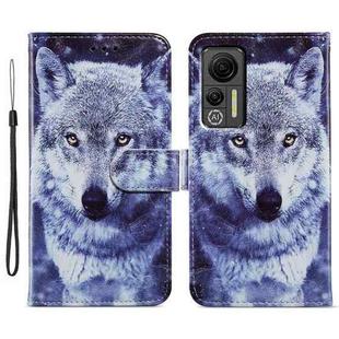 For Ulefone Note 14 Painted Pattern Horizontal Flip Leather Phone Case(White Wolf)