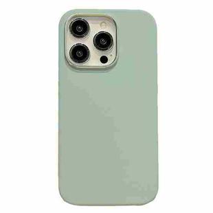 For iPhone 12 Pro Electroplated Metal Lens Frame Design MagSafe Silicone Phone Case(Light Green)