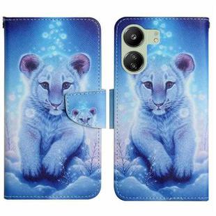 For Xiaomi Redmi 13C Colored Drawing Pattern Leather Phone Case(Little Leopard)