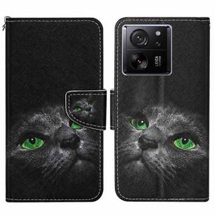 For Xiaomi Redmi 13T Colored Drawing Pattern Leather Phone Case(Black Cat)