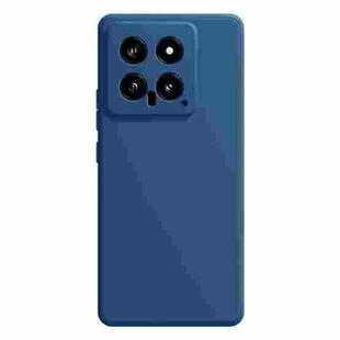 For Xiaomi 14 Imitation Liquid Silicone Phone Case(Blue)