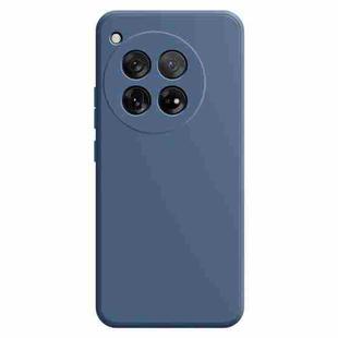 For OnePlus 12 Imitation Liquid Silicone Phone Case(Grey)