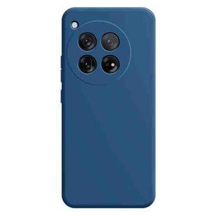 For OnePlus 12 Imitation Liquid Silicone Phone Case(Blue)