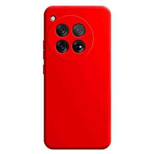 For OnePlus 12 Imitation Liquid Silicone Phone Case(Red)