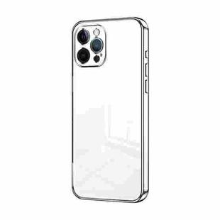 For iPhone 12 Pro Transparent Plating Fine Hole Phone Case(Silver)