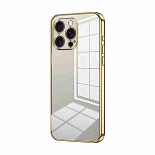 For iPhone 16 Pro Max Transparent Plating Fine Hole Phone Case(Gold)