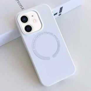 For iPhone 12 MagSafe Magnetic Liquid Silicone Phone Case(White)