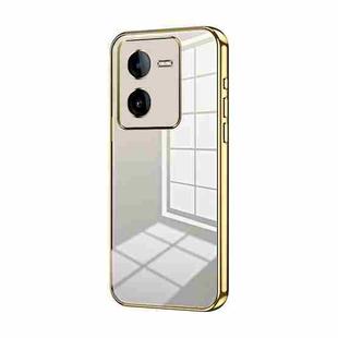For vivo iQOO Z8 / Z8x Transparent Plating Fine Hole Phone Case(Gold)