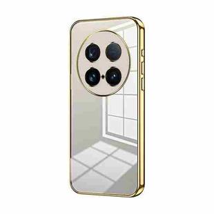 For vivo X100 Ultra Transparent Plating Fine Hole Phone Case(Gold)