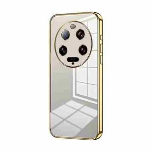 For Xiaomi 13 Ultra Transparent Plating Fine Hole Phone Case(Gold)
