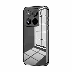 For Xiaomi 15 Pro Transparent Plating Fine Hole Phone Case(Black)