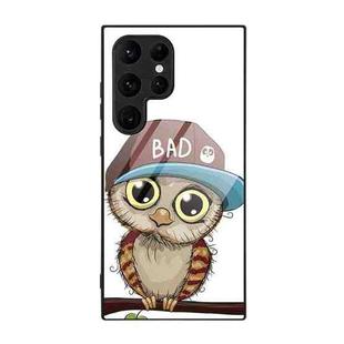 For Samsung Galaxy S24 Ultra 5G Colorful Painted Glass Phone Case(Owl)