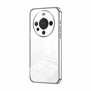 For Huawei Mate 60 Transparent Plating Fine Hole Phone Case(Silver)