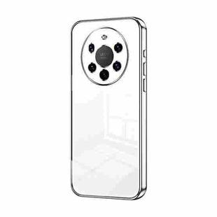 For Huawei Mate 40 Pro+ Transparent Plating Fine Hole Phone Case(Silver)