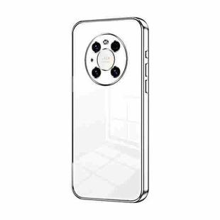 For Huawei Mate 40 Pro Transparent Plating Fine Hole Phone Case(Silver)