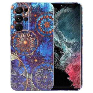 For Samsung Galaxy S22 Ultra 5G Painted Pattern Precise Hole PC Phone Case(Abstract Flower)