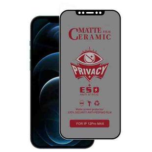 For iPhone 12 Pro Max Full Coverage Frosted Privacy Ceramic Film