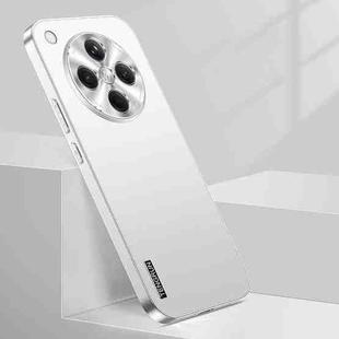 For OPPO Find X8 Streamer Series Micro Frosted Metal Paint PC Phone Case(Silver)