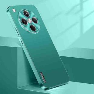 For OPPO Find X8 Streamer Series Micro Frosted Metal Paint PC Phone Case(Alpine Green)