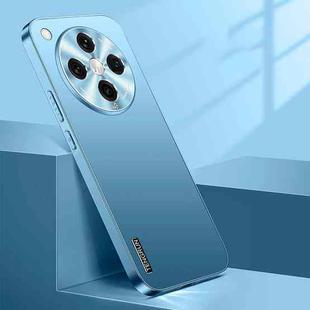 For OPPO Find X8 Pro Streamer Series Micro Frosted Metal Paint PC Phone Case(Sierra Blue)