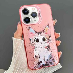 For iPhone 11 Pro Dual-sided IMD Animal Graffiti TPU + PC Phone Case(Elegant Cat)