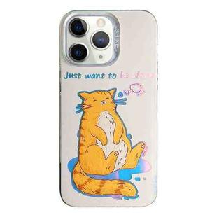 For iPhone 11 Pro Max Colorful Pattern TPU + PC Phone Case(Cat)