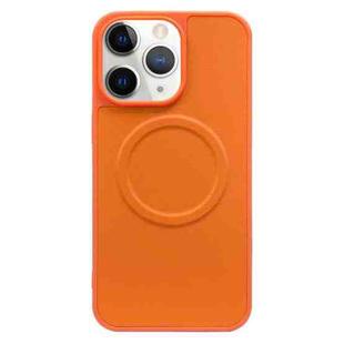 For iPhone 11 Pro 2 in 1 MagSafe Magnetic Silicone Leather Phone Case(Orange)