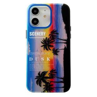 For iPhone 12 Coconut Dual-side Laminating Laser Frosted Phone Case(Blue)