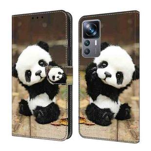 For Xiaomi 12T Pro Crystal Painted Leather Phone case(Panda)