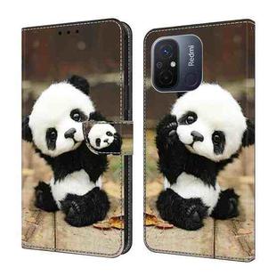 For Xiaomi Redmi 11A/12C Crystal Painted Leather Phone case(Panda)