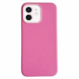 For iPhone 12 Pure Color Leather Magsafe Magnetic Phone Case(Pink)
