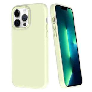 For iPhone 13 Pro Max Big Hole Dopamine PC Phone Case(Green)