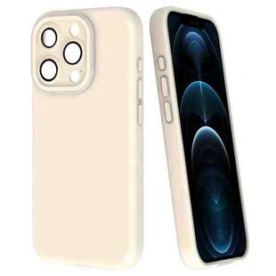 For iPhone 12 Pro Max Fine Hole Dopamine PC Phone Case(White)