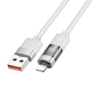 BOROFONE BU46 1.2m 2.4A USB to 8 Pin Basic Charging Data Cable with Display(Grey)