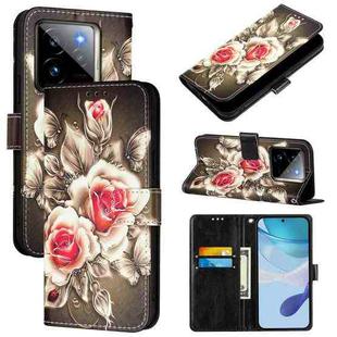 For Realme GT7 Pro Colored Drawing Pattern Plain Weave Leather Phone Case(Roses On Black)