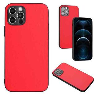 For iPhone 12 Pro Max R20 Leather Pattern Phone Single Case(Red)